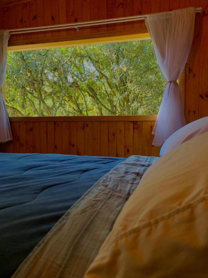 Cabana Vivenda Villa São Francisco de Paula Eksteriør bilde